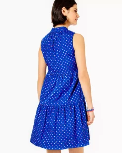Lilly Pulitzer Novella Swing Dress (Lilly Squared)