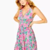Lilly Pulitzer Vivette Dress (That's What I Heard)