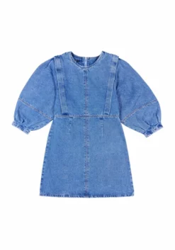 Wild Pony Denim Dress W/ Front Seams