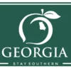 Peach State Pride Georgia Banner Decal (Green)