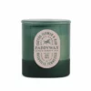 Paddywax Vista 12oz Candle Cactus Green (Flower & Aloe)