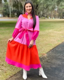 Crosby By Mollie Burch Delphine Dress (Berry Colorblock)