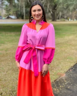 Crosby By Mollie Burch Delphine Dress (Berry Colorblock)