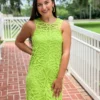 Lilly Pulitzer Siesta Shift Dress (Matcha Green)