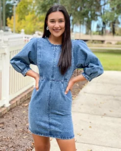Wild Pony Denim Dress W/ Front Seams