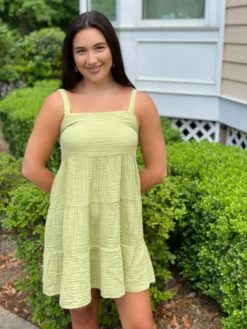 S'edge Dresses Chanelle Dress (Scout Green)