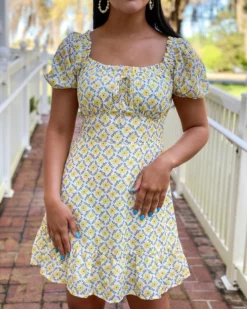 OO Boutique Dresses Bustier Dress (Daisy Print)