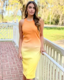 S'edge Quinn Dress (Ombre) Dresses