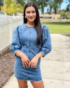 Wild Pony Denim Dress W/ Front Seams