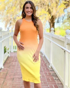 S'edge Quinn Dress (Ombre) Dresses