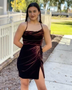 Amanda Uprichard Jasalina Mini Dress (Cocoa) Dresses